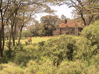 the beautiful setting of the AFCA Giraffe Park Photo from Susan's Story, the beautiful setting of the AFCA Giraffe Park