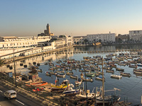 the yacht harbor in Algiers the yacht harbor in Algiers
