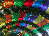 umbrellas at Miracle Garden Susan's Story, umbrellas at Miracle Garden