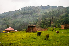 scenery in the mountains near Bwindi scenery in the mountains near Bwindi