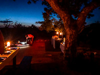 our bush braai Susan's Story, our bush braai