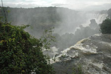 Iguazu Falls from the top Photo from Susan's Story, Iguazu Falls from the top