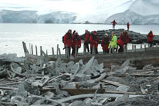 lots and lots of whale bones Susan's Story, lots and lots of whale bones