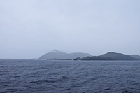 Cape Horn from the Zaandam Photo from Susan's Story, Cape Horn from the Zaandam