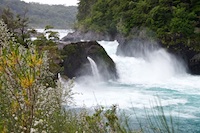 Petrohue Falls in Patagonia Susan's Story, Petrohue Falls in Patagonia