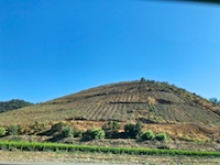 Scenery we saw on our trip from San Antonio to Santiago in Chilie in 2018 Photo from Susan's Story, Scenery we saw on our trip from San Antonio to Santiago in Chilie in 2018