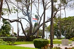Park with statures of Anna Frank and of Queen Wilhimena in Aruba Susan's Story, Photo of Park with statures of Anna Frank and of Queen Wilhimena in Aruba