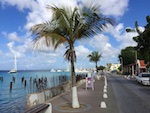Bonaire, View on our walk to the beach in Bonaire Photo from Susan's Story, Bonaire, View on our walk to the beach in Bonaire