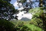 One of the Pitons in Martinique Photo from Susan's Story, Martinique, One of the Pitons