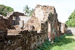 Devil’s Island, French Guiana. Artistic photo of some Ruins of the prison walls Devil’s Island, French Guiana. Susan's Story, Artistic photo of some Ruins of the prison walls