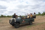 Motswari. On the Land Rover Defender on our game drive Motswari. On the Land Rover Defender on our game drive