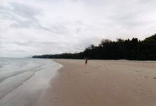 the beach at Port Douglas Australia Susan's Story, the beach at Port Douglas Australia
