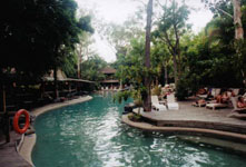 the swimming pool at our hotel in Port Douglas Australia Susan's Story, the swimming pool in our hotel at Port Douglas Australia