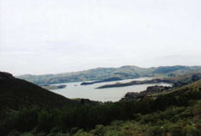 a view from the top of the mountain near Christchurch New Zealand Susan's Story, a view from the top of the mountain near Christchurch New Zealand