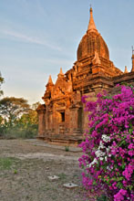 Bagan Susan's Story, Bagan