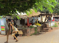 a market we saw in Mangalore Photo from Susan's Story, a colorful market we saw in Mangalore