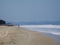 the beach at Goa Photo from Susan's Story, the beach at Goa