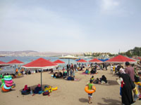 the beach at Aqaba Jordan Photo from Susan's Story, the beach at Aqaba Jordan