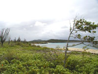 We love Bonaire Photo from Susan's Story, Unspoiled Bonaire