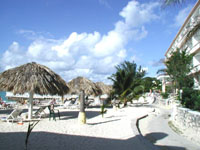 The Sand Dollar Resort Photo from Susan's Story, The Sand Dollar Resort