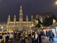 Photo from Susan's Story, Vienna Christmas market scenery