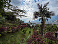Photo from Susan's Story, Itagui coffee plantation is beautiful
