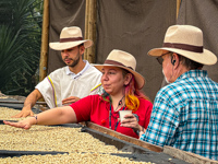 Photo from Susan's Story, Sorting dried coffee beans