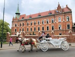 A hores carriage in oldtown Krakow Photo from Susan's Story, Europe 2018, A hores carriage in oldtown Krakow