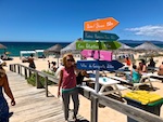 Susan at the beach in Comporta, Portugal Photo from Susan's Story, Europe 2018, Susan at the beach in Comporta, Portugal
