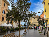 The pedestrian street in Civitavecchia Photo from Susan's Story, The pedestrian street in Civitavecchia
