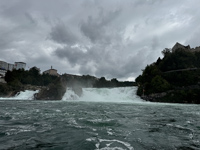 Rhine Falls Photo from Susan's Story, Rhine Falls