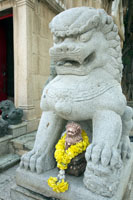 Susan's Story, Vietnam