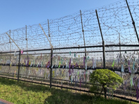 View into the DMZ toward North Korea Photo from Susan's Story, View into the DMZ toward North Korea