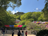 Photo from Susan's Story,