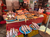 Jagalchi Fish Market Susan's Story, Jagalchi Fish Market