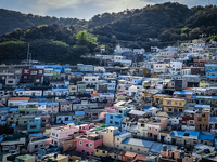 Gamcheon Culture Village Susan's Story, Gamcheon Culture Village