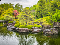 Hemeji Castle gardens Susan's Story, Hemeji Castle gardens