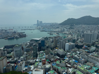 View from the tower in Busan Susan's Story, View from the tower in Busan