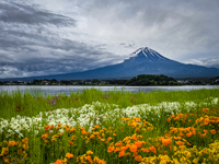 Mt Fuji Photo from Susan's Story, Mt Fuji