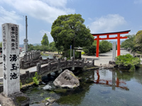 Fujisan Honduras Sengen Taisha Shrine pond Susan's Story, Fujisan Honduras Sengen Taisha Shrine pond