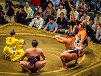 Onosato Susan's Story, Onosato