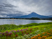 Mt Fuji from Lake Kawaguchiko Susan's Story, Mt Fuji from Lake Kawaguchiko