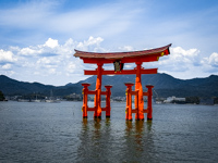 Tori Gate of the Itsukushima Shrine Susan's Story, Tori Gate of the Itsukushima Shrine