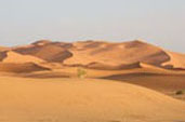 The Sahara Desert Photo from Susan's Story, The Sahara desert