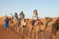 Our camel caravan on the Sahara desert Susan's Story, Our camel caravan on the Sahara desert