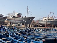 Fishing boats in the port Photo from Susan's Story, Fishing boats in the port