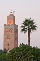 A Minaret and a palm tree I saw in Morocco Susan's Story, Main heading photograph of A Minaret and a palm tree I saw in Morocco