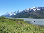 the rugged peaks of the Grand Tetons Susan's Story, the rugged peaks of the Grand Tetons
