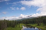 Beautiful scenery we saw from our train on the way to Denali National Park in Alaska Susan's Story, Beautiful scenery we saw from our train on the way to Denali National Park in Alaska