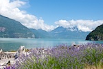 One of many beautiful views from the Sea to Sky Parkway in British Columbia Susan's Story, One of many beautiful views from the Sea to Sky Parkway in British Columbia